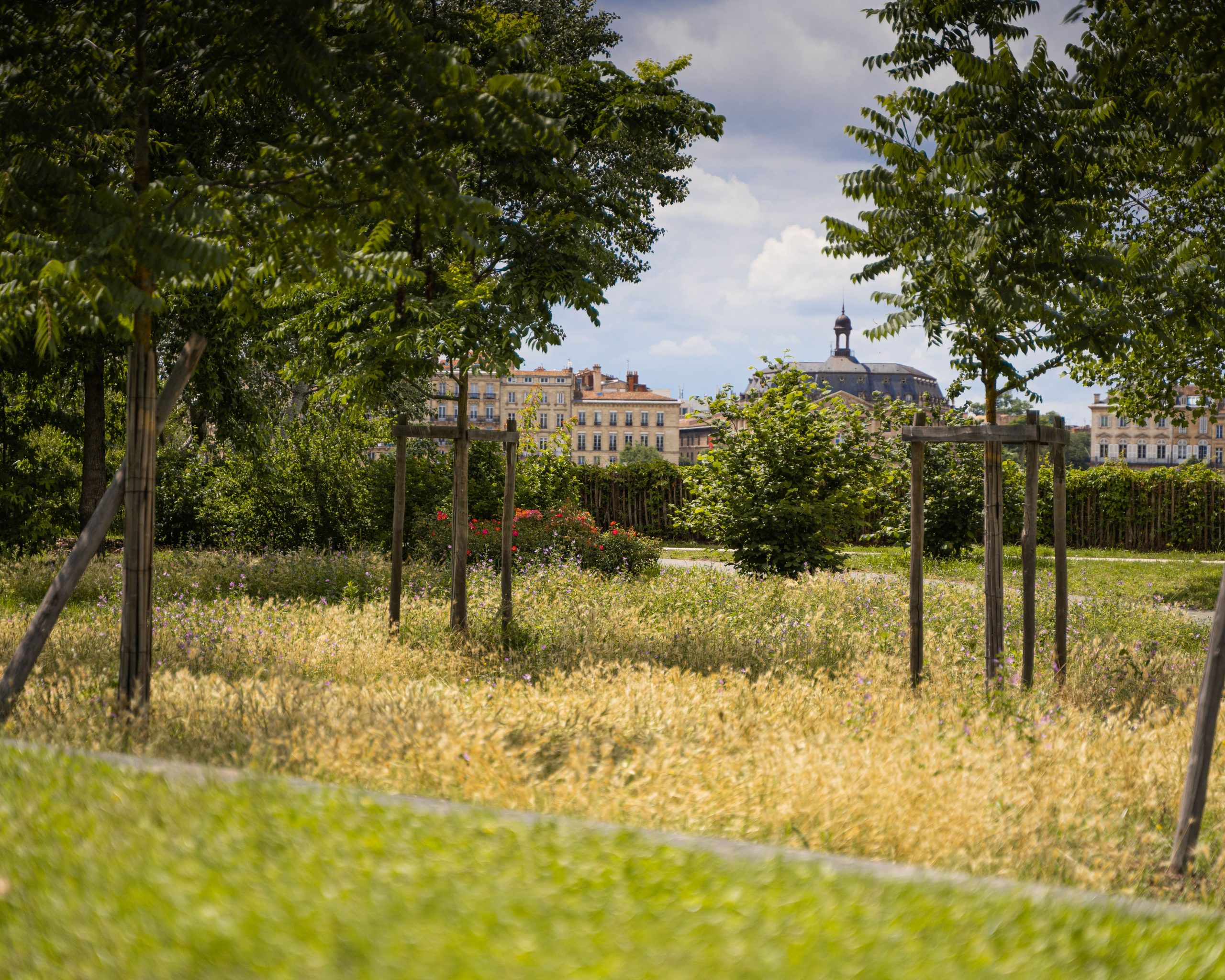 Les Jardins Botaniques de Bordeaux